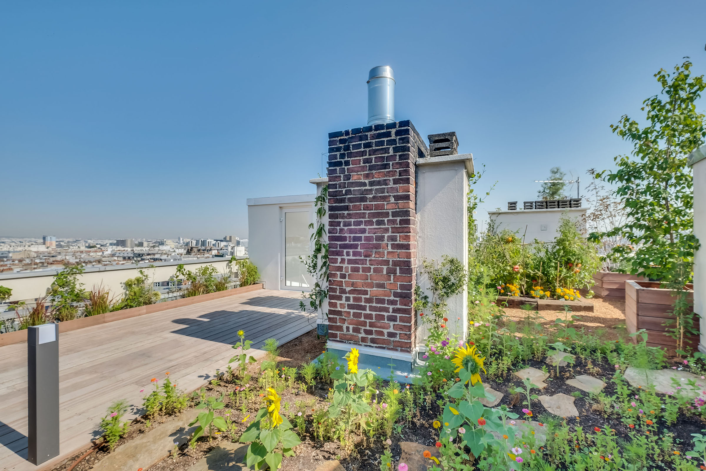 Création d'un toit jardin à paris Prairie toit terrasse paris