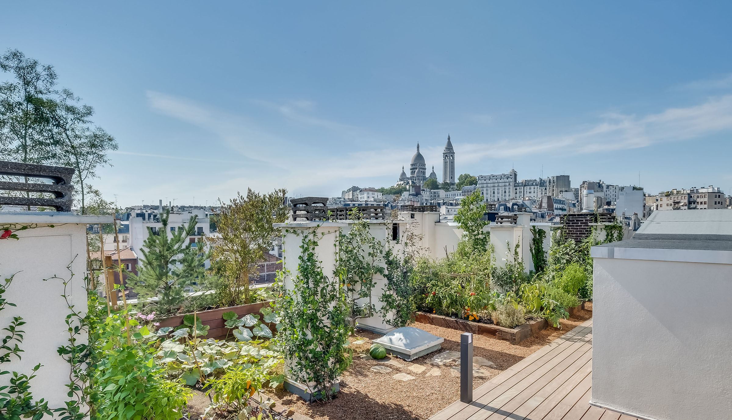 Création d'un toit jardin à paris Terrasse Montmartre architecte