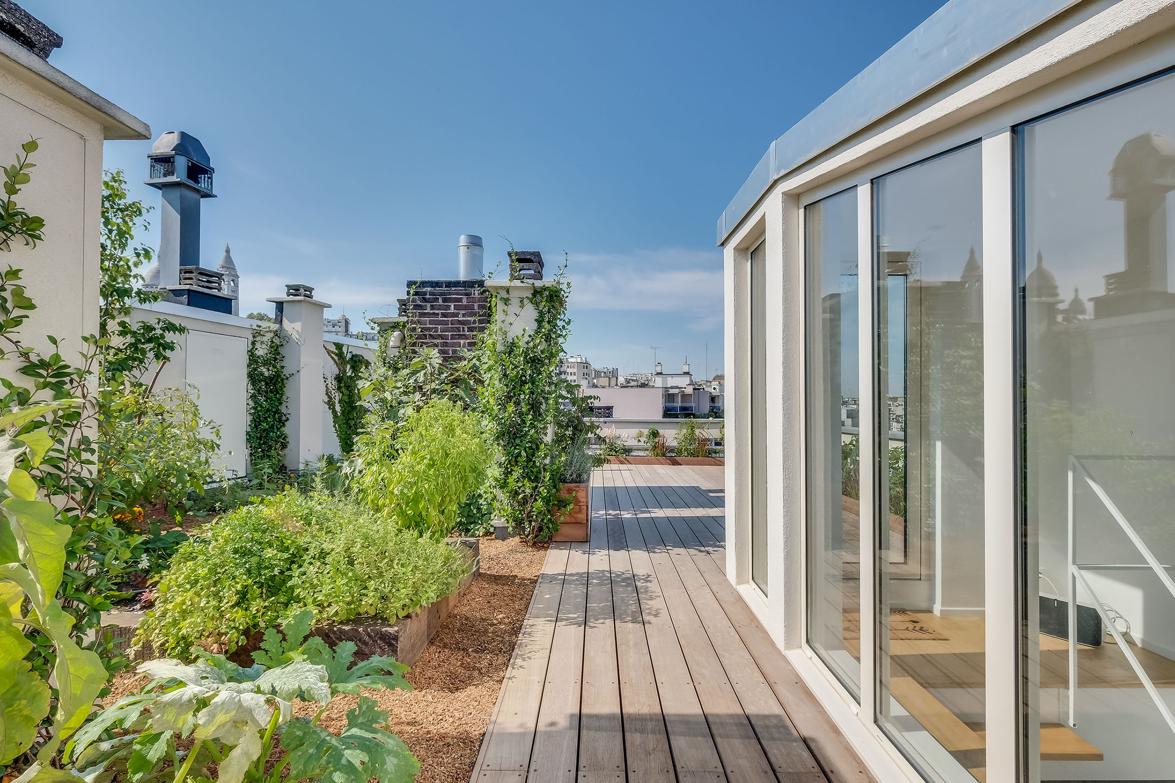 Création d'un toit jardin à paris terrasse potager architecte paris