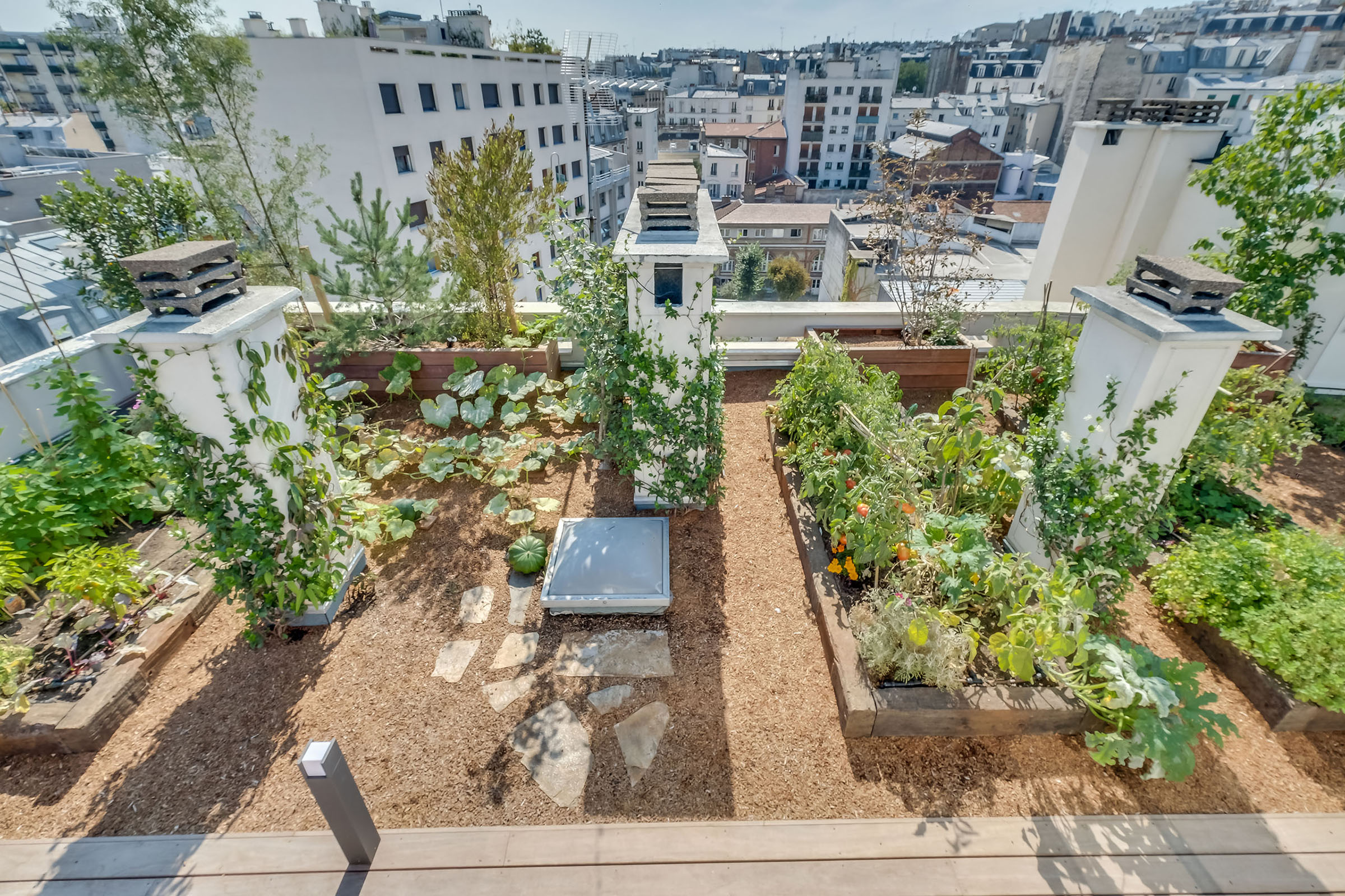 Création d'un toit jardin à paris Terrasse toit architecte paris