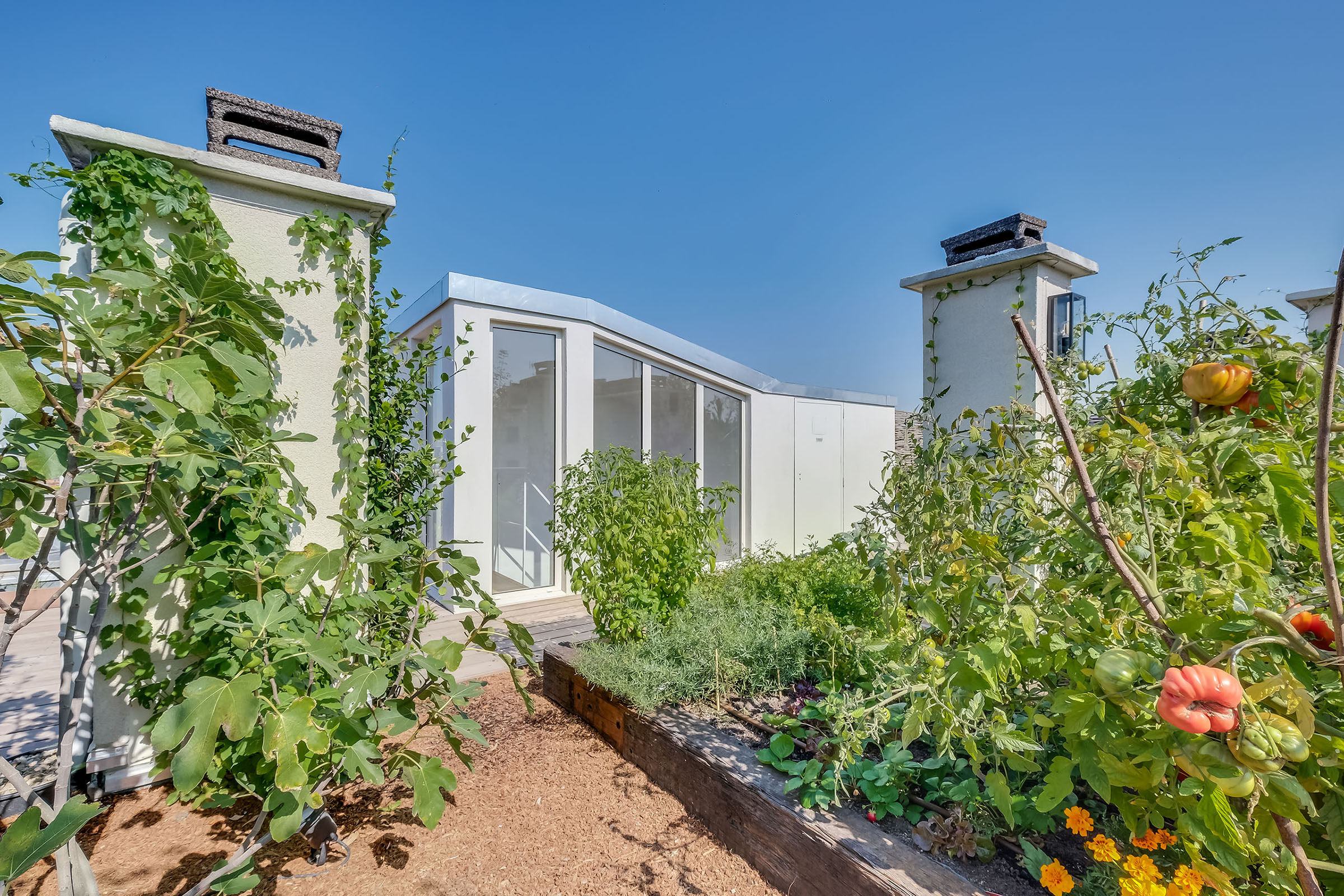 Création d'un toit jardin à paris Toit jardin architecte